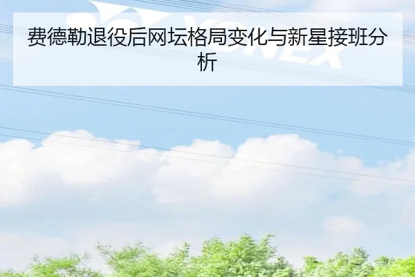 费德勒退役后网坛格局变化与新星接班分析